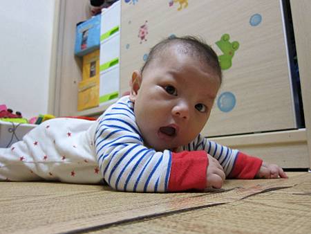 IMG_8258.JPG IMG_8258.JPG