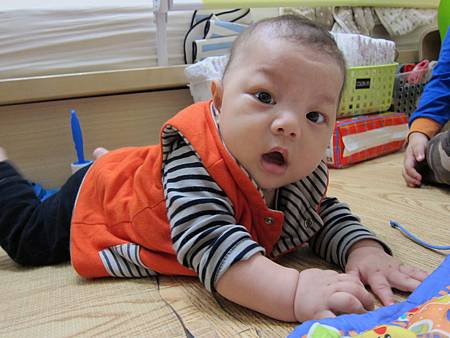 IMG_8294.JPG IMG_8294.JPG