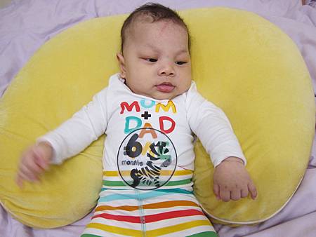 IMG_8787.JPG IMG_8787.JPG