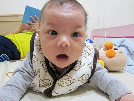 IMG_8364.JPG IMG_8364.JPG