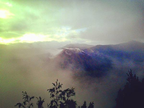 相片 2015-1-9 下午5 36 49 相片 2015-1-9 下午5 36 49