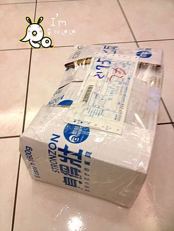 IMG_1975 IMG_1975