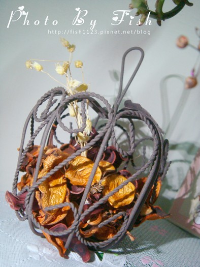 DSC01218.jpg DSC01218.jpg