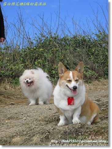 IMG_2133.JPG IMG_2133.JPG