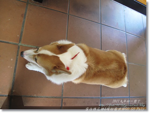 IMG_2148.JPG IMG_2148.JPG