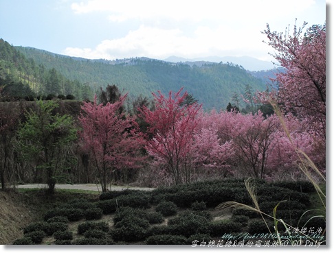 IMG_0369.JPG IMG_0369.JPG