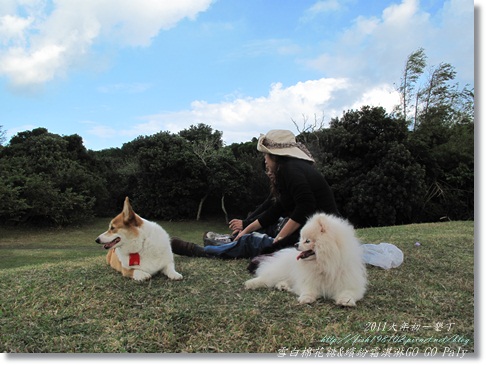 IMG_2211.JPG IMG_2211.JPG