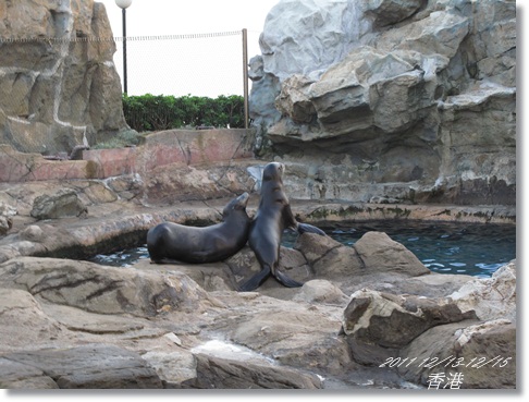 1001213-15香港 (175).JPG