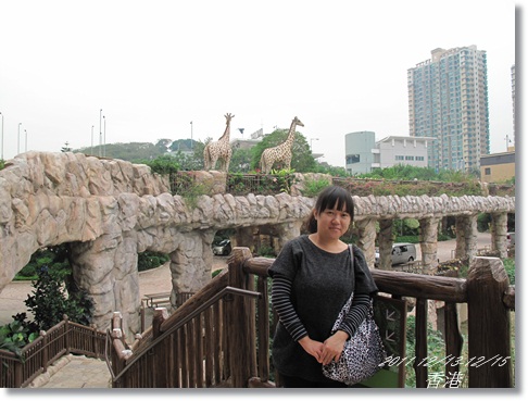 1001213-15香港 (239).JPG