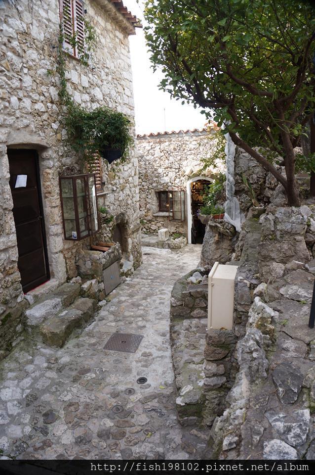 972070_505482389500290_770341556_n