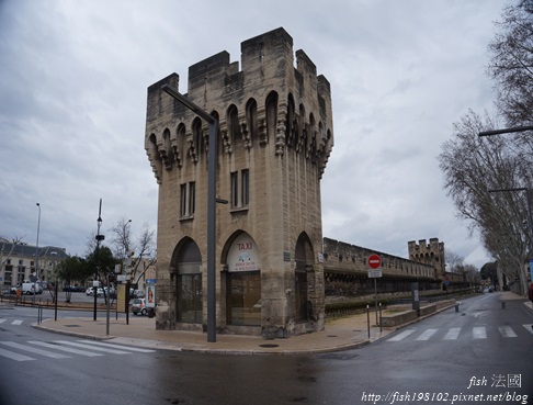 法國行 (51) 法國行 (51)