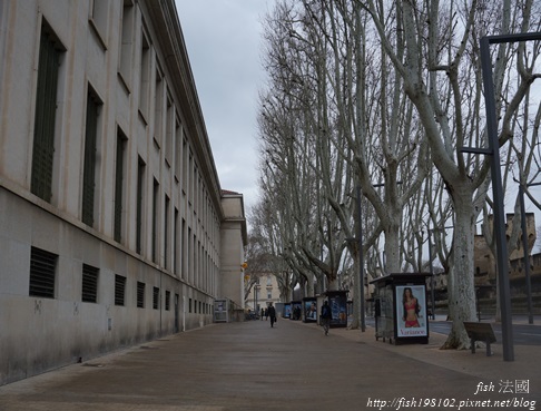 法國行 (54) 法國行 (54)