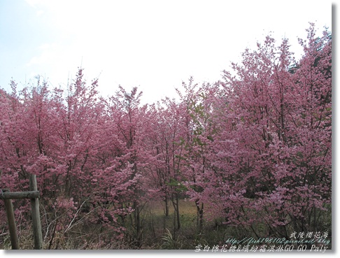 IMG_0386.JPG IMG_0386.JPG