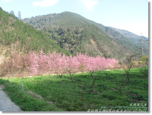 IMG_0522.JPG IMG_0522.JPG