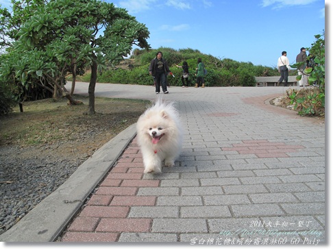 IMG_2117.JPG IMG_2117.JPG