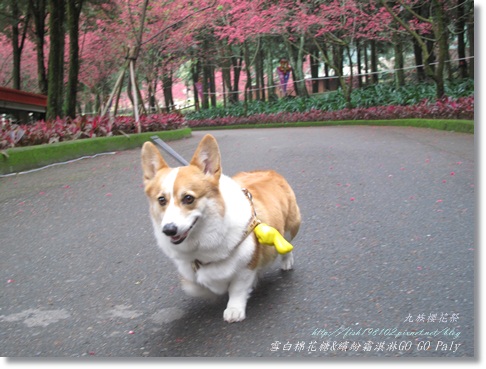 IMG_0025.JPG IMG_0025.JPG