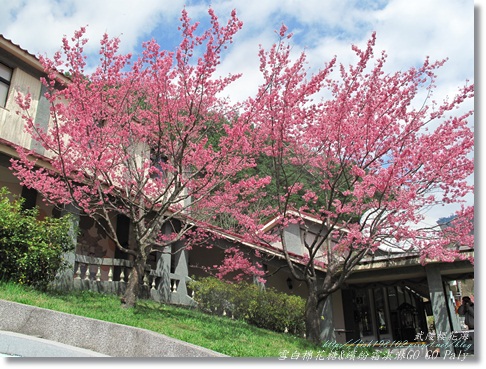 IMG_0310.JPG IMG_0310.JPG