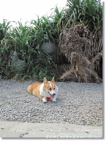 IMG_2120.JPG IMG_2120.JPG