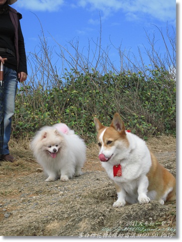 IMG_2134.JPG IMG_2134.JPG