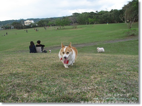 IMG_2200.JPG IMG_2200.JPG