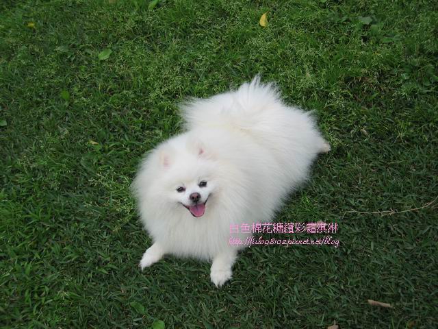 IMG_0008.JPG IMG_0008.JPG