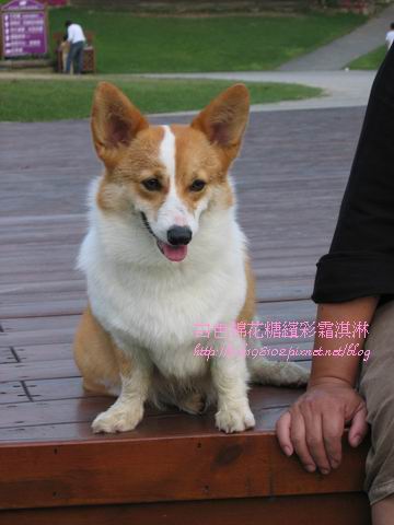 IMG_0077.JPG IMG_0077.JPG