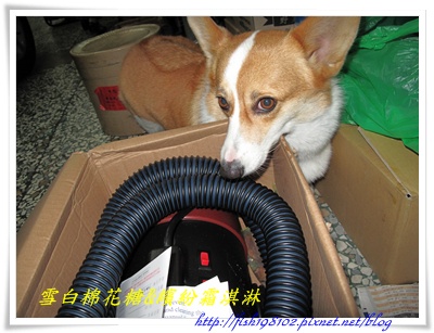 IMG_0591.JPG IMG_0591.JPG