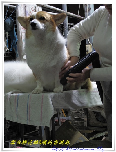 旋轉IMG_1655.JPG 旋轉IMG_1655.JPG