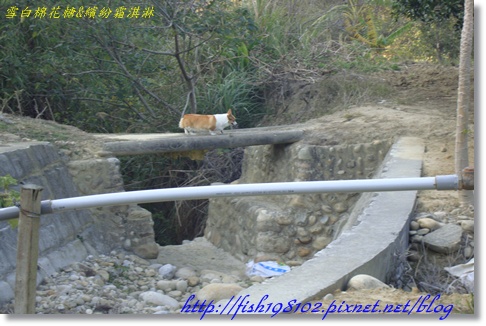 DSC07915.JPG DSC07915.JPG