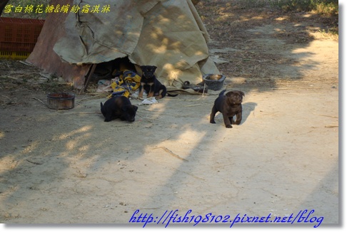 DSC07917.JPG DSC07917.JPG