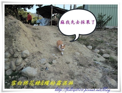 IMG_0482.JPG IMG_0482.JPG