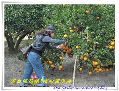 IMG_0483.JPG IMG_0483.JPG