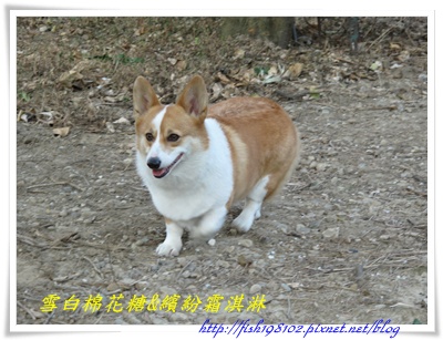 IMG_0489.JPG IMG_0489.JPG