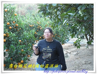 IMG_0490.JPG IMG_0490.JPG