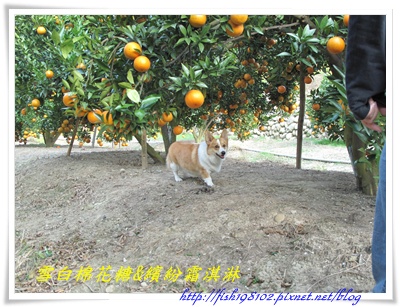 IMG_0493.JPG IMG_0493.JPG