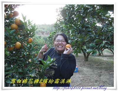 IMG_0500.JPG IMG_0500.JPG