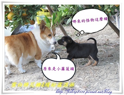 IMG_0513.JPG IMG_0513.JPG