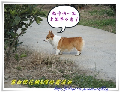 IMG_0512.JPG IMG_0512.JPG