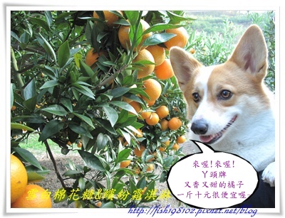 IMG_0495.JPG IMG_0495.JPG