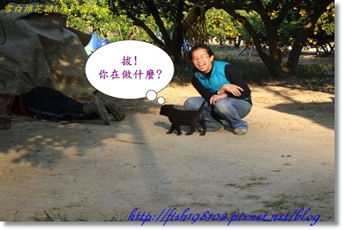 DSC07916.JPG DSC07916.JPG