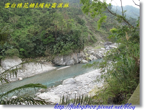 IMG_1990.JPG IMG_1990.JPG