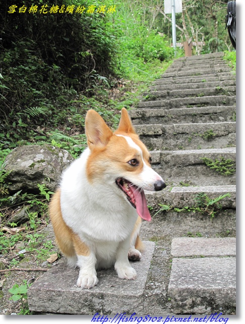 IMG_1999.JPG IMG_1999.JPG