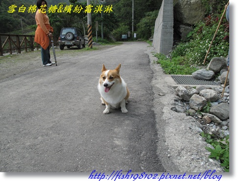 IMG_2015.JPG IMG_2015.JPG