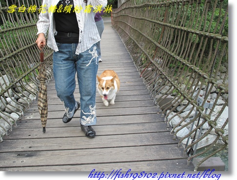 IMG_2016.JPG IMG_2016.JPG