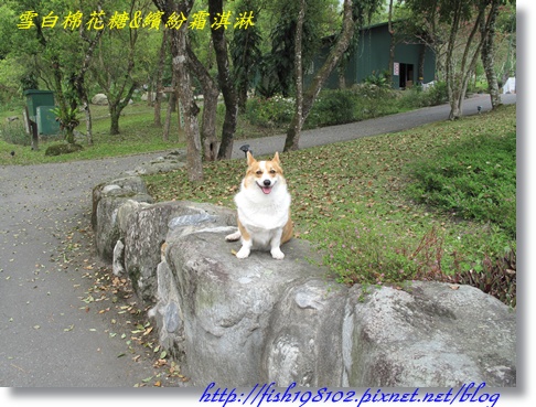 IMG_1965.JPG IMG_1965.JPG