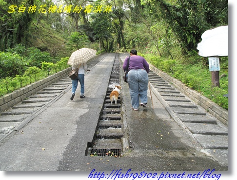 IMG_1966.JPG IMG_1966.JPG