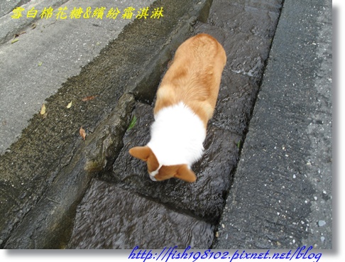 IMG_1967.JPG IMG_1967.JPG