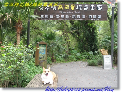 IMG_1978.JPG IMG_1978.JPG