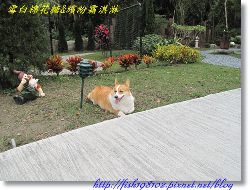 IMG_1982.JPG IMG_1982.JPG