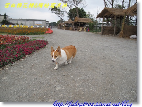 IMG_2118.JPG IMG_2118.JPG